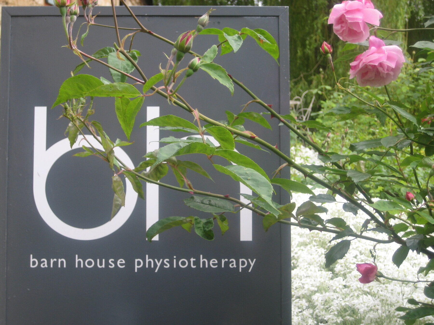 Bunny in the garden with Jacqueline Knox