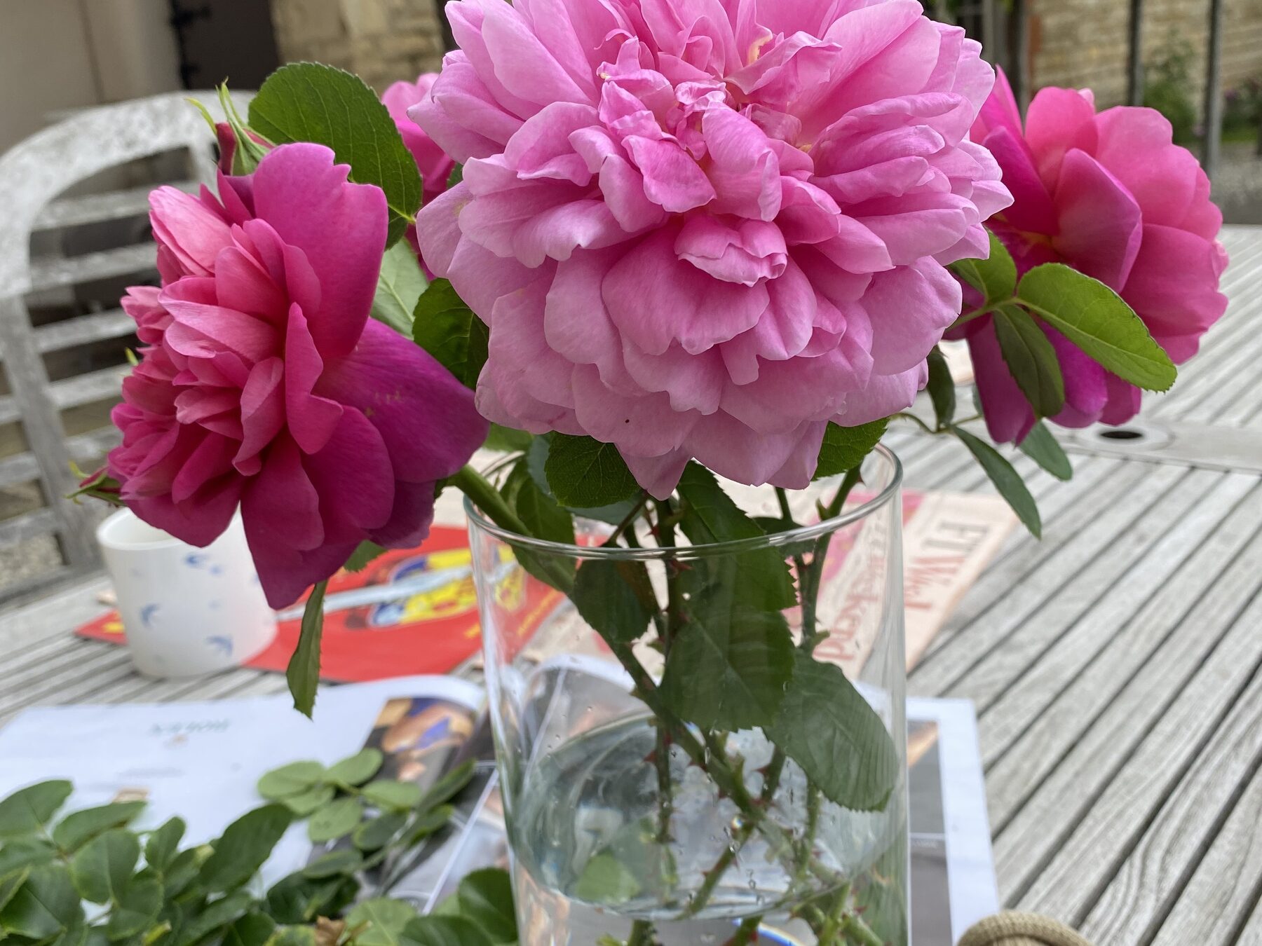 Vagus nerve . Cranial X