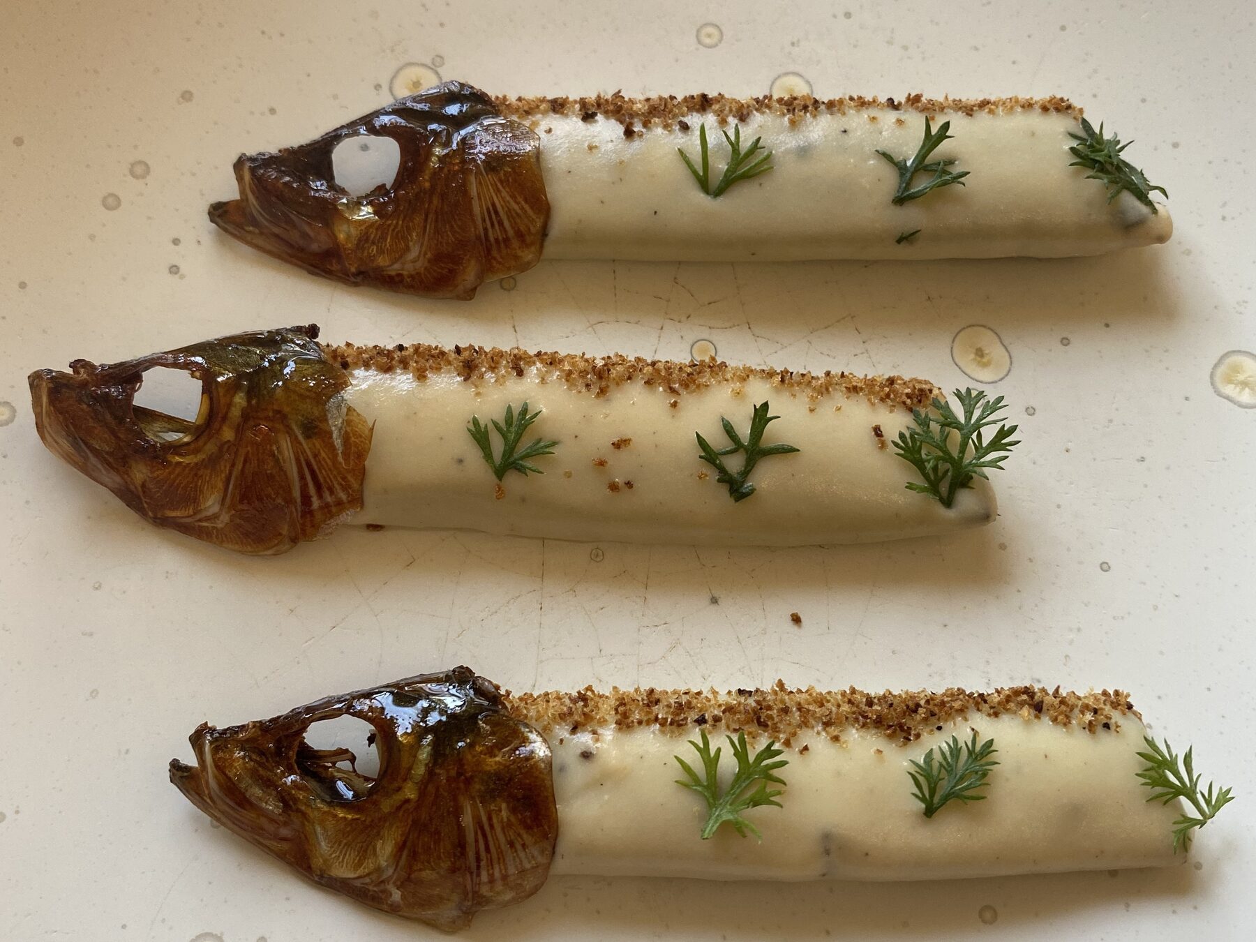 Nutrition & the immune sytem